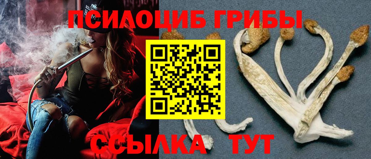 Псилоцибиновые грибы MAGIC MUSHROOMS  Вход с VPN  Псилоцибиновые грибы прущие грибы  Нурлат 