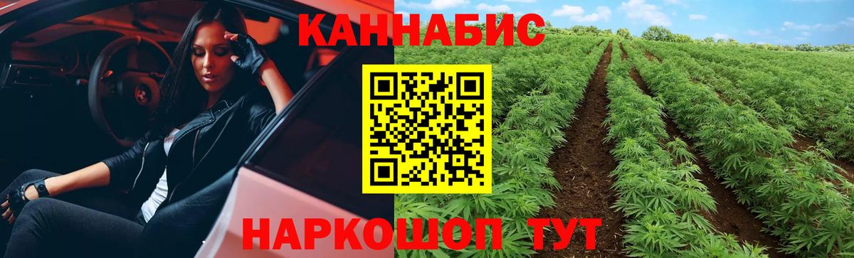 Канабис SATIVA & INDICA Нурлат